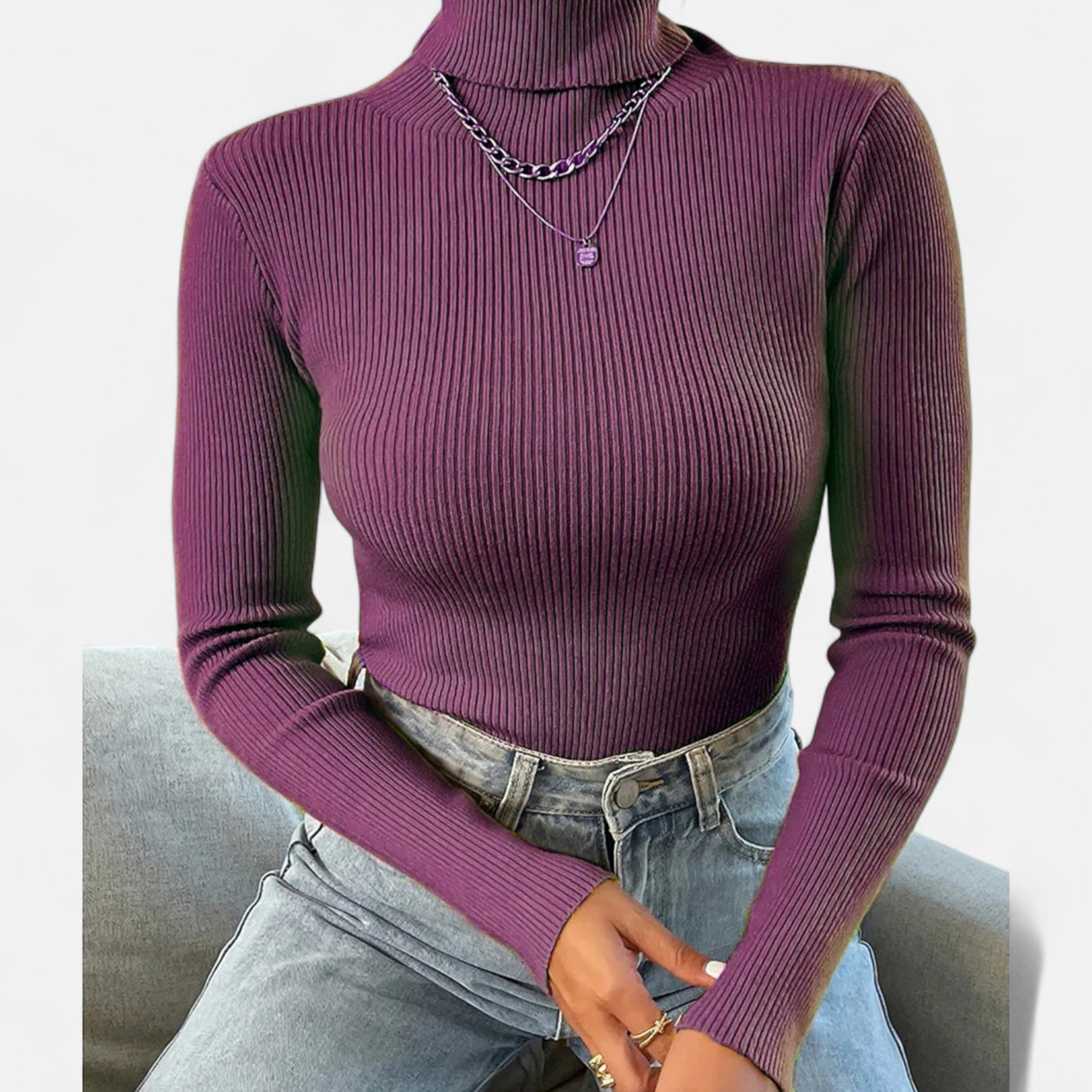 Montrose Chique | Women's Knitted Turtleneck Sweater