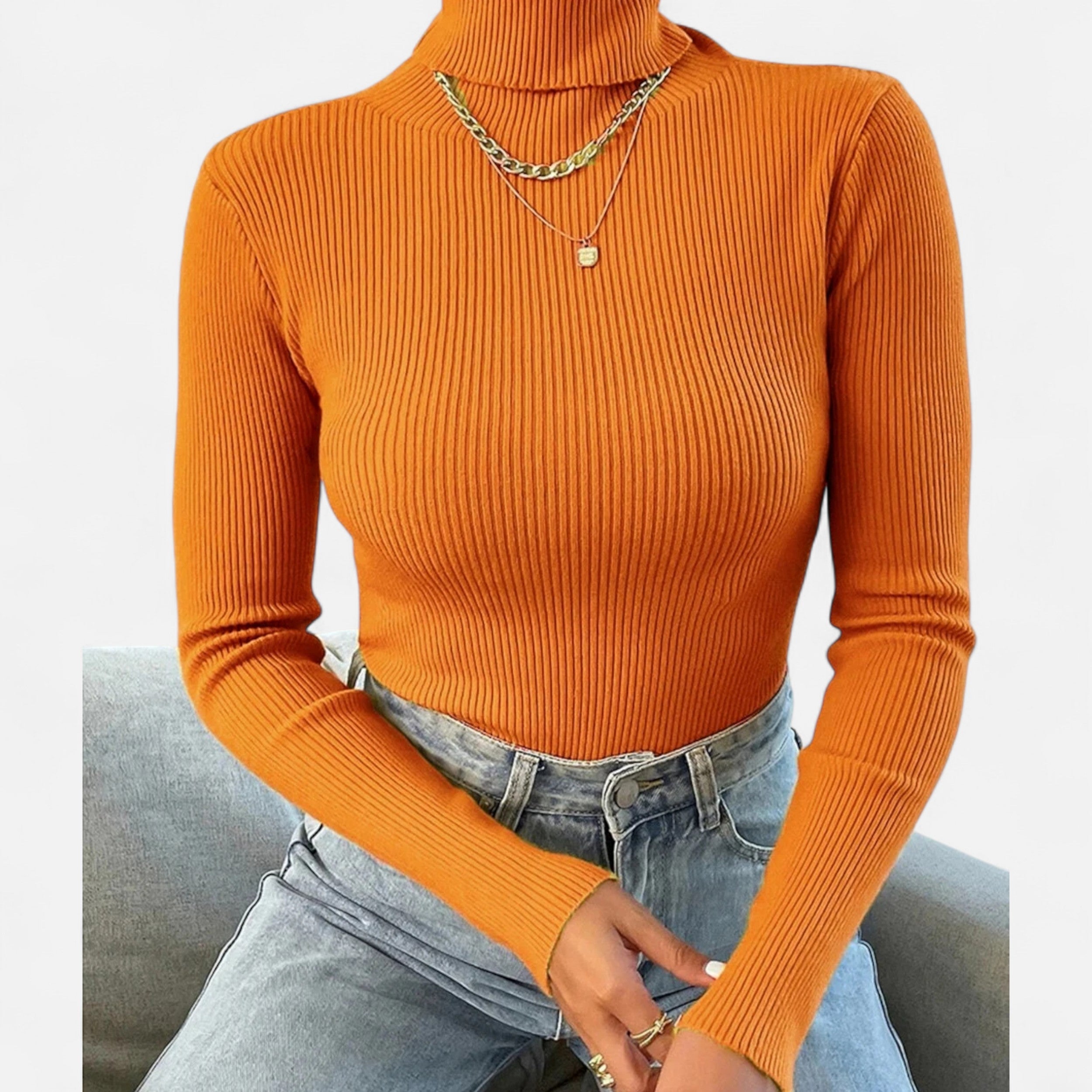 Montrose Chique | Women's Knitted Turtleneck Sweater